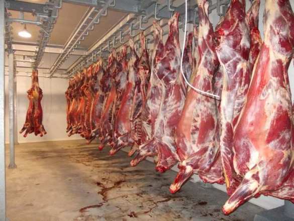 Говядина с Украины оказалась под запретом в России | Русская весна