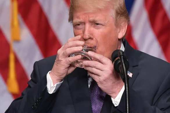 Трамп рассказал, почему он не пьёт | Русская весна