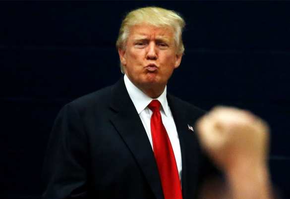 Трамп: «большой прогресс по России», встреча с Путиным была «отличной», «следите за новостями» | Русская весна