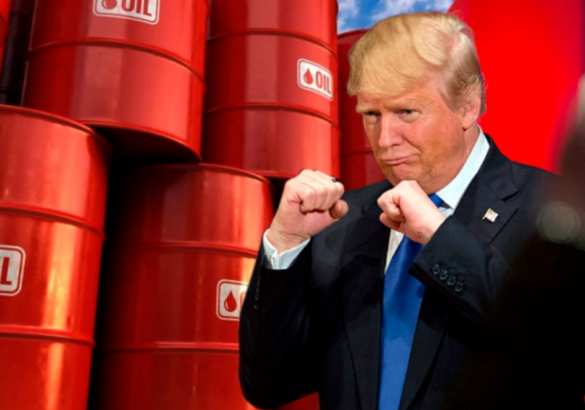 «Патрулировать границу могут другие»: Трамп рассказал об истинных целях США в Сирии | Русская весна