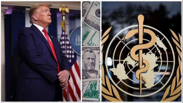 Трамп выдвинул ВОЗ жёсткий ультиматум, больше похожий на шантаж | Русская весна
