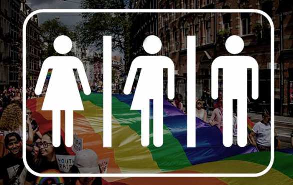 Не только мужской и женский: В ВОЗ готовятся признать существование других полов | Русская весна