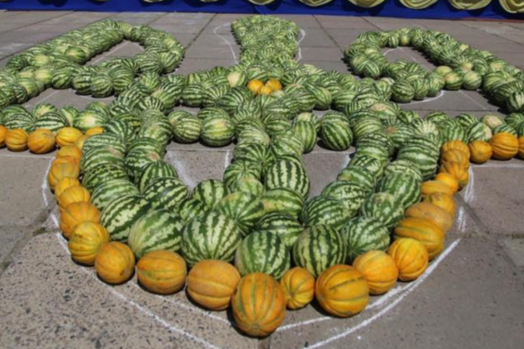 Сколько потеряла Украина, променяв российский рынок на европейский | Русская весна