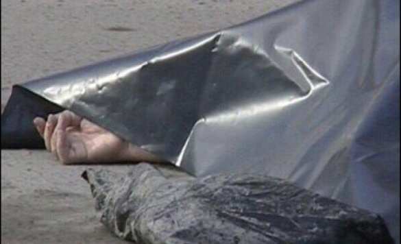 В Бердянске убита семейная пара — заммэра и глава избиркома по проведению референдума | Русская весна