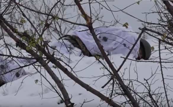 Пособница украинских карателей показала фото «атошников», ликвидированных на Донбассе (ФОТО) | Русская весна