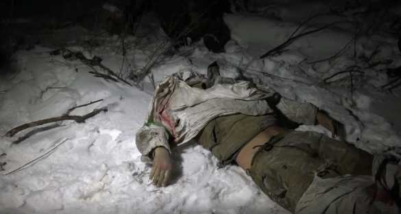 ВСУ завалили трупами плацдарм под Дебальцево — кровавые кадры (ФОТО, ВИДЕО 18+) | Русская весна