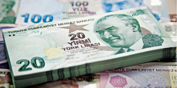 Эрдоган спровоцировал девальвацию, назначив зятя главой Минфина | Русская весна