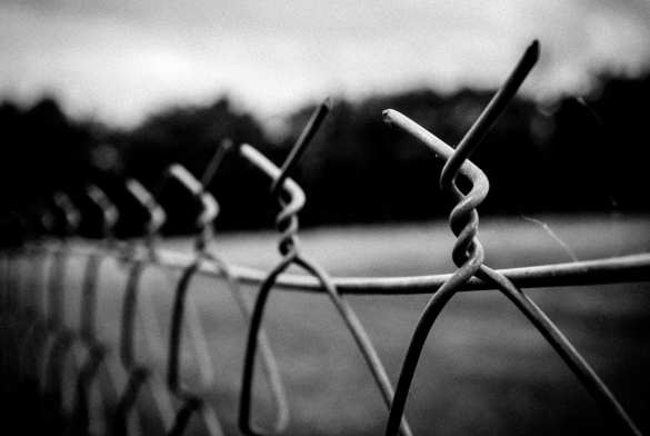 В российской колонии обнаружили многочисленное террористическое сообщество (ФОТО, ВИДЕО) | Русская весна