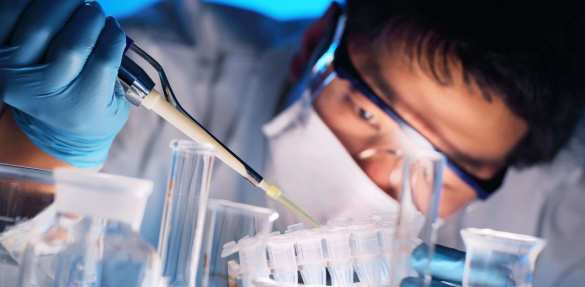 В Китае появились свиньи, чьи органы можно пересаживать людям (ФОТО) | Русская весна