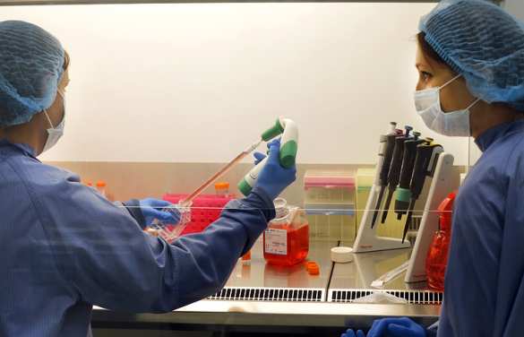 Научные скандалы: как учёные создают несуществующие открытия (ФОТО) | Русская весна