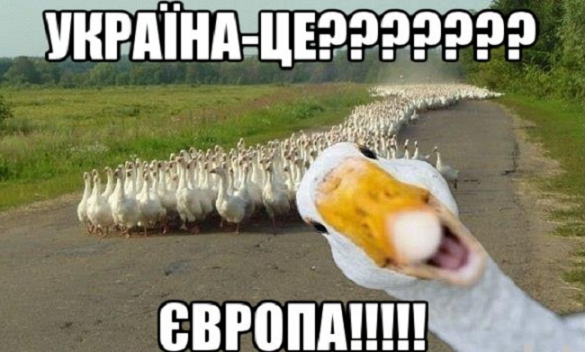 СНГ — это клуб неудачников, — вице-премьер Украины (ВИДЕО) | Русская весна