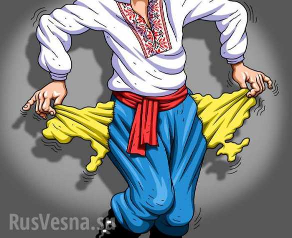 Приватизация по-хохляцки: украинские власти готовы продать страну по частям | Русская весна