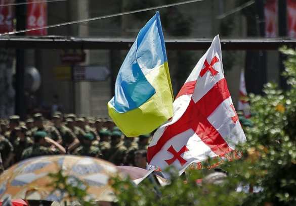 Украина и Грузия рассчитывают вместе пролезть в НАТО | Русская весна