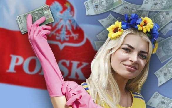 В Польше взялись за нелегальных заробитчан из Украины | Русская весна