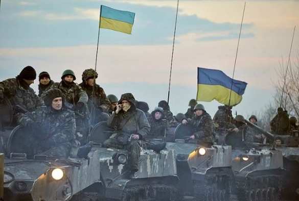 Украинские военнослужащие скорее гости, нежели пленники (видео) | Русская весна