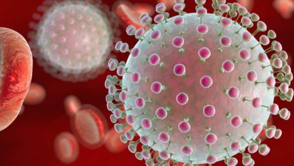 Ученые назвали самый смертоносный вирус в мире | Русская весна