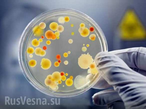 Ukraine schafft virologische Kontrolle ab | Русская весна