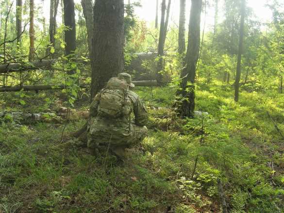 На Украине так и начиналось: в лесах Белоруссии обнаружены партизаны | Русская весна