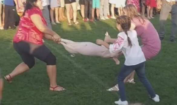 Это Украина: на Волыни чуть не разорвали поросёнка во время конкурса (ФОТО, ВИДЕО) | Русская весна