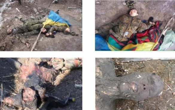 Генштаб ВСУ «списал» более 700 пропавших без вести украинских солдат | Русская весна