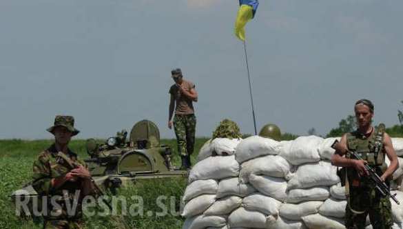 DPR defence ministry: Ukrainian troops shelling Donetsk suburbs from tanks and mortars | Русская весна
