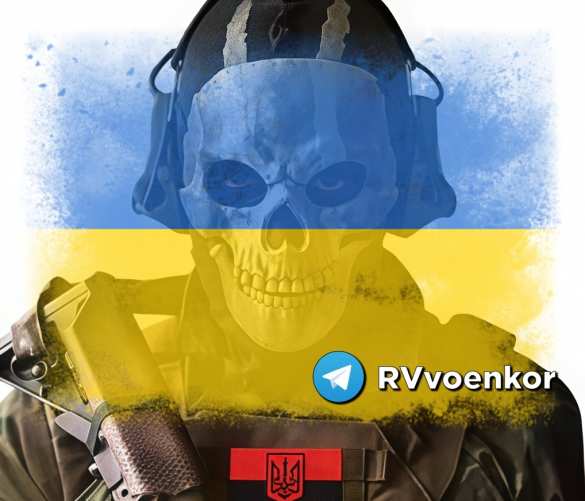 Дроноводы «Центра» ослепили и обездвижили ВСУ под Покровском (ВИДЕО) | Русская весна