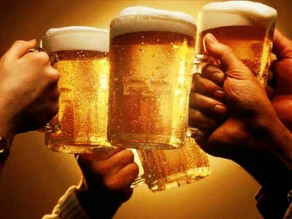 Новозеландцы построили остров, чтобы выпить в Новый год (ФОТО) | Русская весна