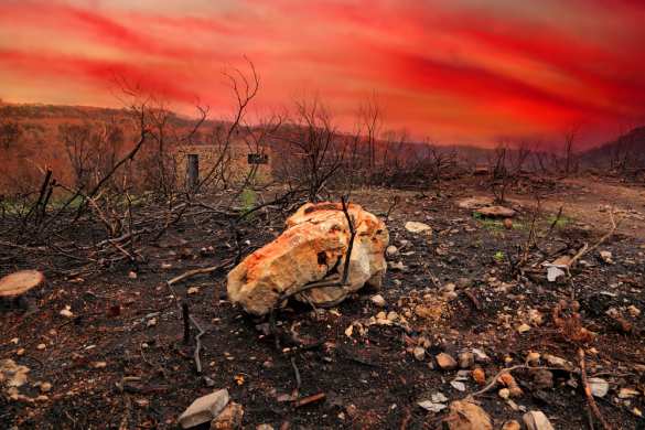 Украине предрекли большие безлюдные зоны | Русская весна