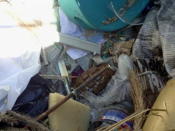 Новости Киева: граната в мусорном баке | Русская весна