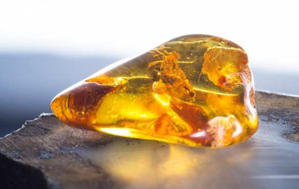 В Калининграде появился «Эльбрус» (ФОТО) | Русская весна