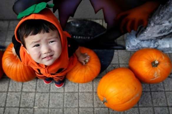 В Японии якудза извинилась за сорванный Хеллоуин | Русская весна