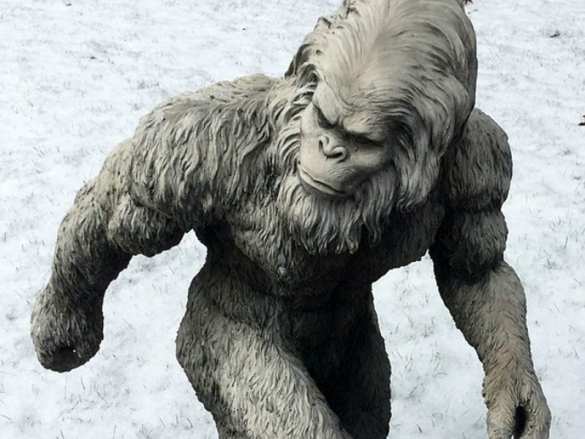 Исследователи рассказали, кем на самом деле оказались йети | Русская весна