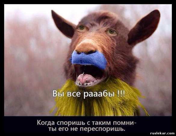 Депутат Рады сравнил граждан Украины с изнасилованными баранами | Русская весна
