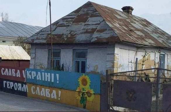 Учёный рассказал о вымирании Украины | Русская весна