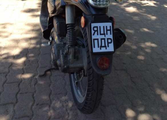 Жаба и гадюка — Саакашвили начал информационную войну против Яценюка (ВИДЕО) | Русская весна