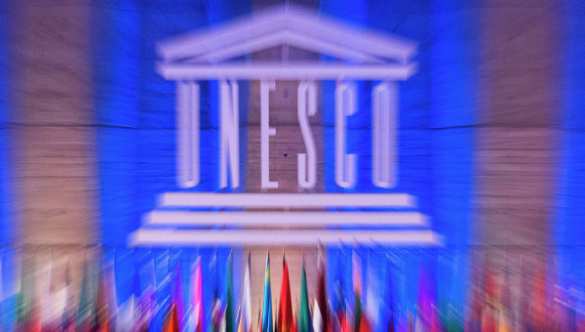 ЮНЕСКО обратилась к Путину с просьбой спасти полярных медведей | Русская весна