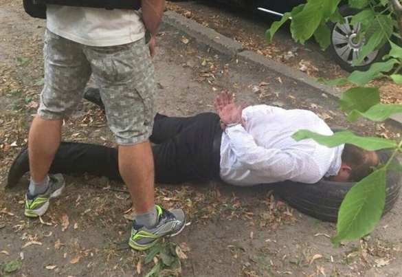 На Украине прокурора задержали за сбыт наркотиков (ФОТО) | Русская весна