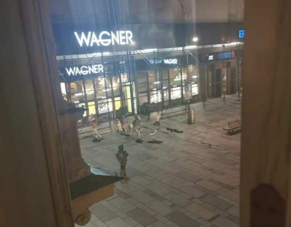 Стало известно, кто взял на себя ответственность за теракт в Австрии | Русская весна