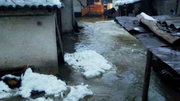 Катастрофический паводок в Закарпатье: дома плавают в воде, гибнут домашние животные (ФОТО, ВИДЕО) | Русская весна