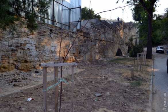 Знаки: в Одессе засохли деревья, высаженные в память о «небесной сотне» — их забыли поливать (ФОТО) | Русская весна