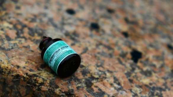 Неонацисты поставили на колени и заставили облиться зелёнкой 14-летнюю девочку в Запорожье (ВИДЕО) | Русская весна