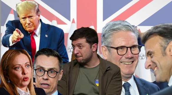 В США заявили, что европейские лидеры приглашены к участию во встрече Трампа с Зеленским | Русская весна