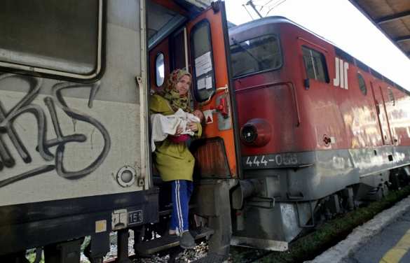 Дания остановила железнодорожное сообщение с Германией из-за мигрантов | Русская весна