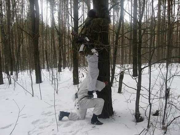 Сводка: бой в аэропорту и Песках, у Никишино в бою столкнулись разведчики ВСУ и ДНР; в Запорожье привезли тело убитого своими бойца «АТО» | Русская весна