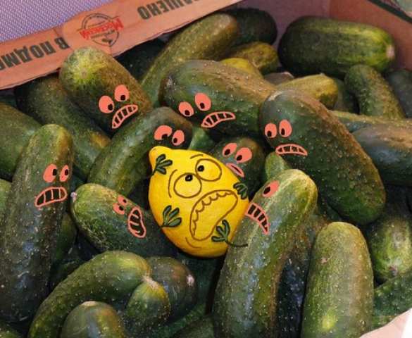 В Польше возмутились нашествием российских огурцов | Русская весна